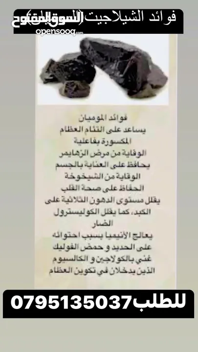 دحدح وجبنه غنم وملوخيه وورق عنب بلدي ومقدوس ودبس عنب ودبس خروب ورمان وعسل ومعمول وشوكلاته وزيتو وزيت