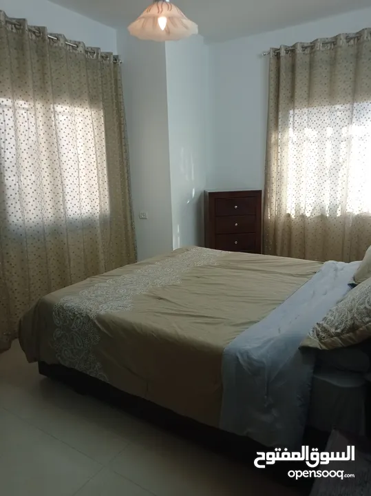 شقه مفروشه للايجار