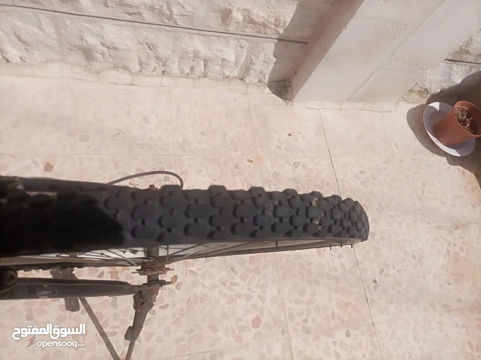 بسكليت جنط 26 للبيع مستعجل جدااا