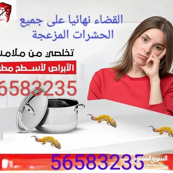 مكافحه حشرات في الكويت