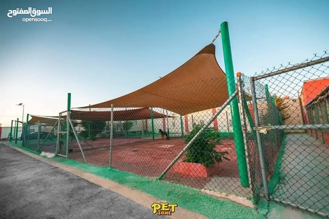 احجز لاقامه كلبك وراحته
