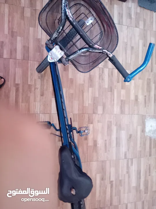 بسكليت كوبرا أمريكي بسعر مغري