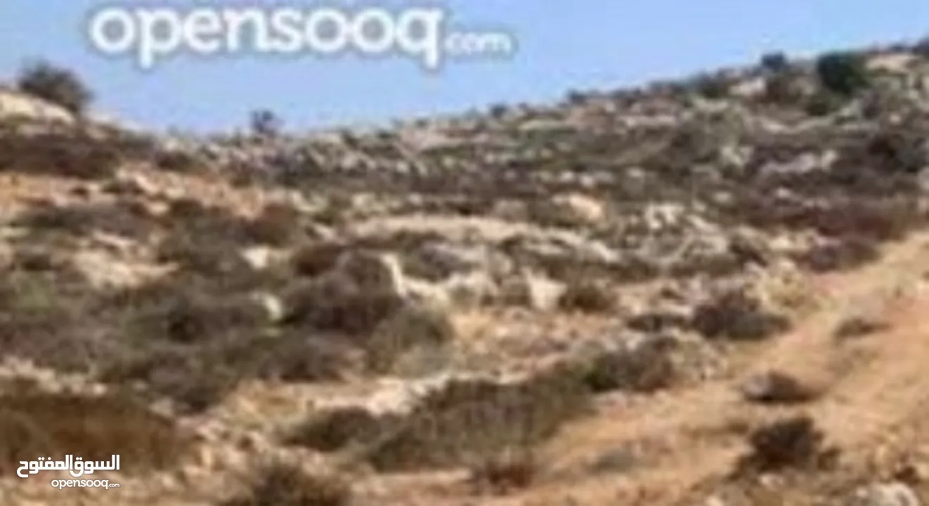 ارض مميزة كوشان طابو الف