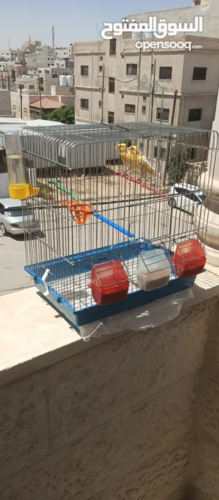 كنارات طواير عدد 2 للبيع