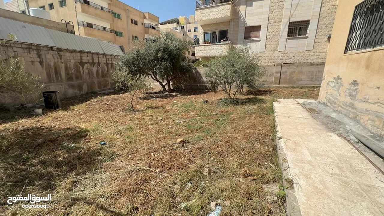 شقة جديدة فخمة مفروشة طابق ارضي للايجار وساخة دوار صحارى