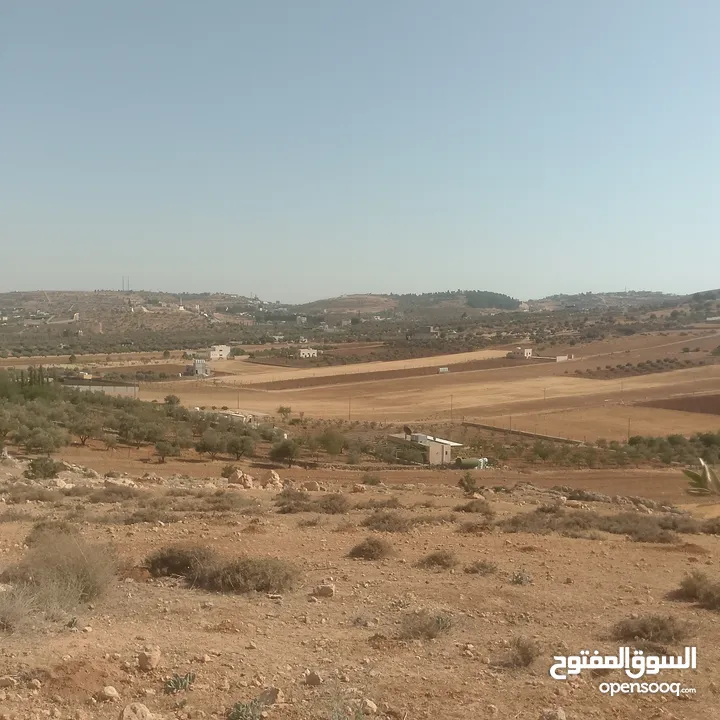 قطعة ارض شرق جرش مرويه من بئر ارتوازي مطله ومرتفعه بسعر مغري متوفر أكثر من 50 قطعه في نفس المنطقه