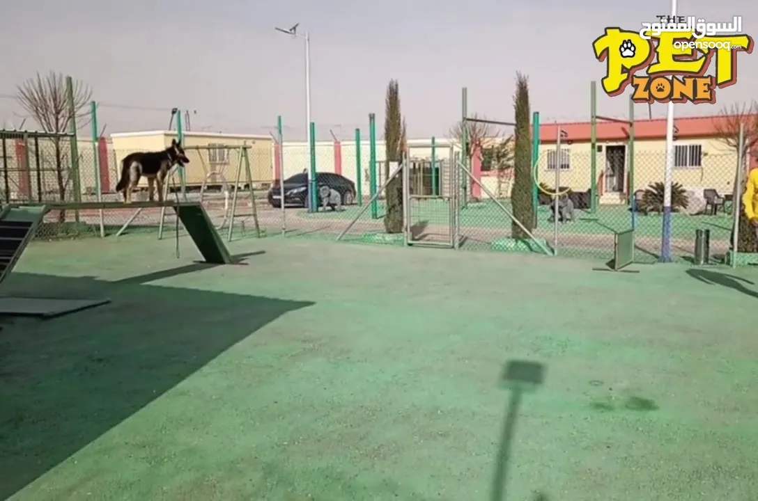حمم كلبك بهالصيف