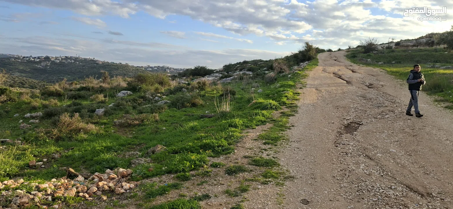 دونم ارض طابوا فلسطيني منطقة (B)بالقرب من دوار كفرصور جميع الخدمات فيها عليها شارع 12متر موقع مميز