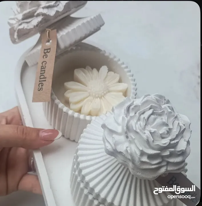 توزيعات متوفر جمله ومفرق