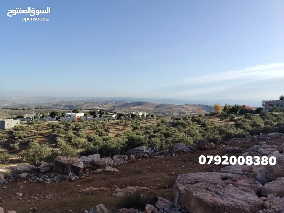 فرصه للشراء ارض مشجره جاهزه داخل التنظيم ومخدومه شارع معبد خدمات كامله ومطله
