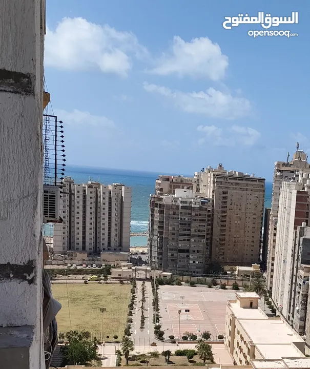 شقة تمليك 120م العصافرة جمال عبد الناصر تري البحر