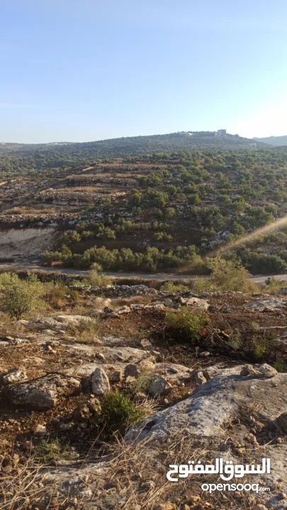 القبة الذهبية اراضي بلعا دير الغصون