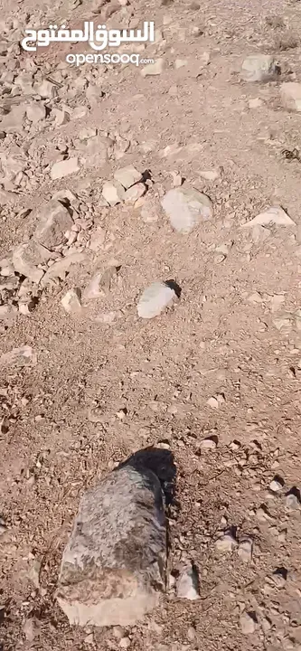 قطعه ارض للبيع