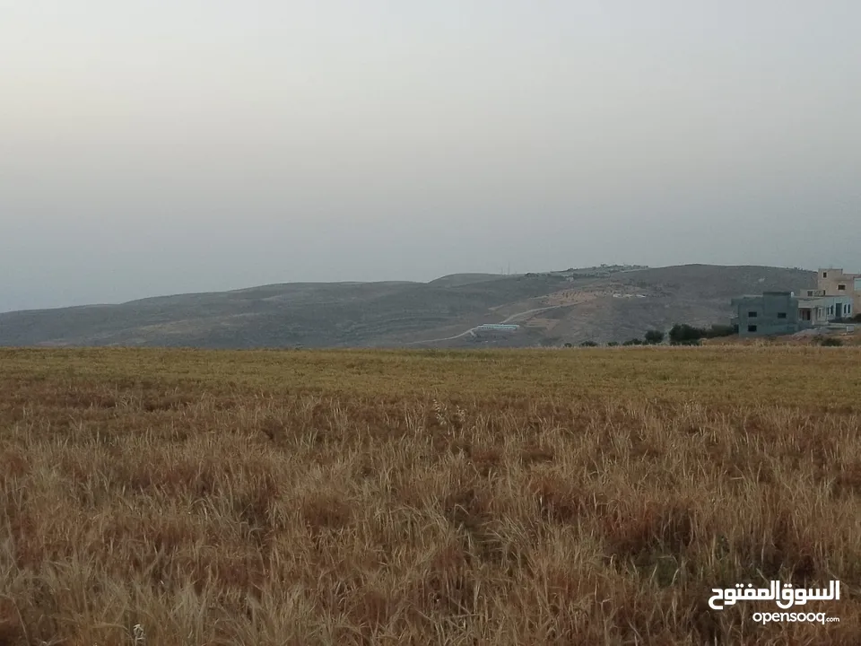 مادبا ماعين المشرفة قطعة ارض زراعية مميزة واصل الخدمات ذات اطلالة على البحر الميت واصل الخدمات