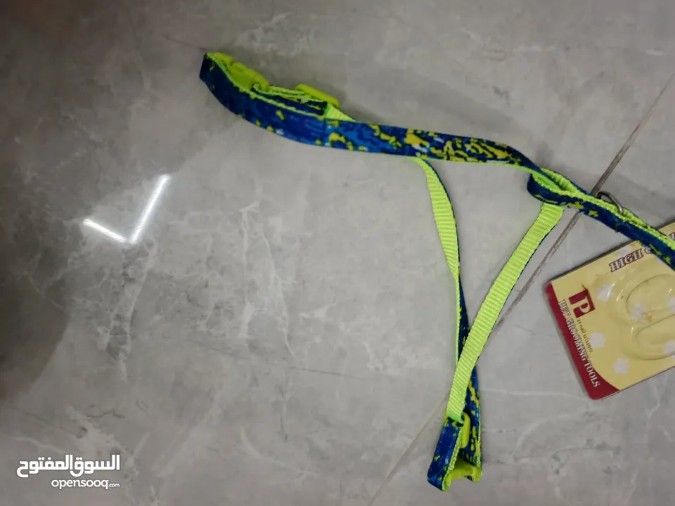 إكسسوارات قطط مستعملة بحالة الوكالة