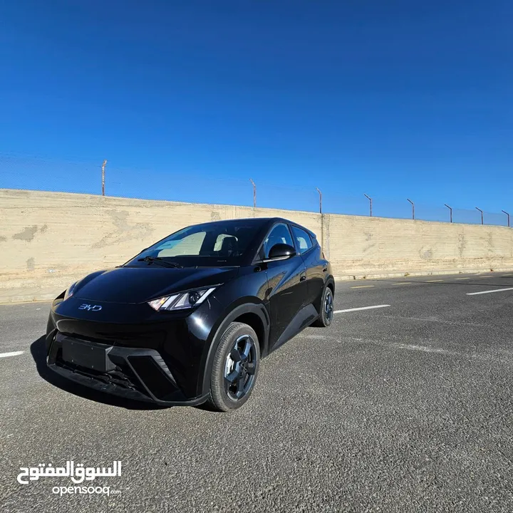 BYD سيكال 2024 شكل 2025