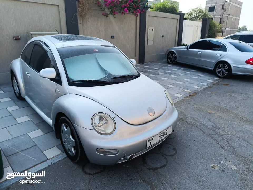 VW Beetle Silver