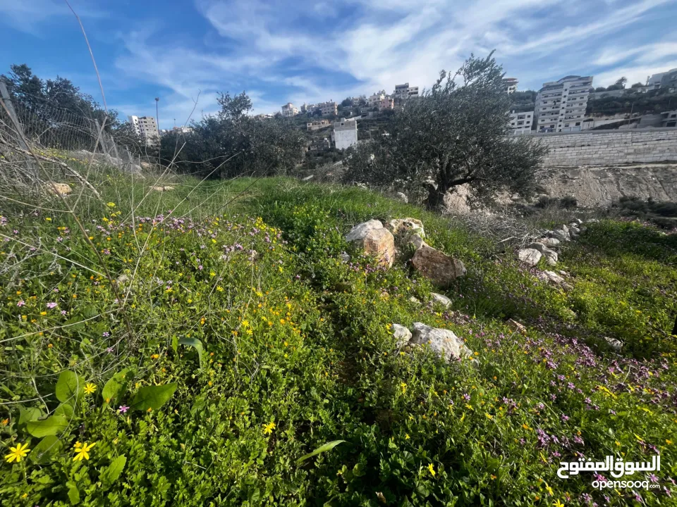 أرض للبيع بإطلالة غربية واصل جميع الخدمات