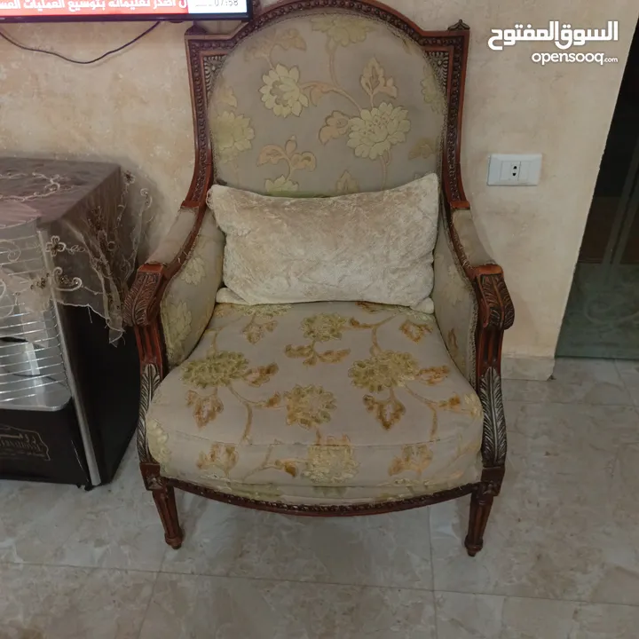 كنباتات بحاله جيده