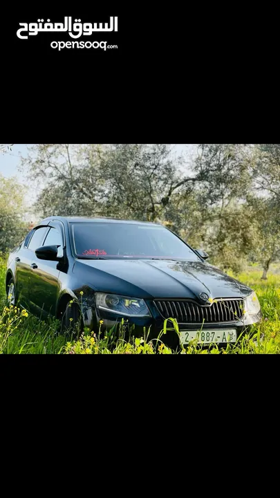 سكودا اكتافيا 2013