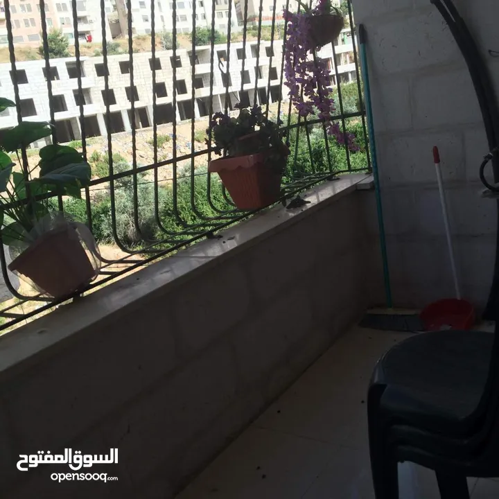 شقة مرتبة مفروشة للايجار