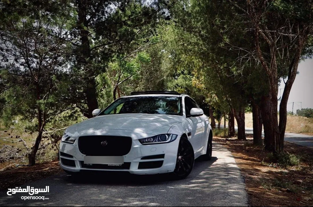 جاغوار xe 2019