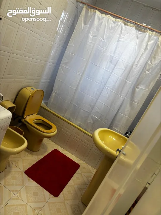 Furnished Apartment to Rent  ( Property 41440 )-174804751
