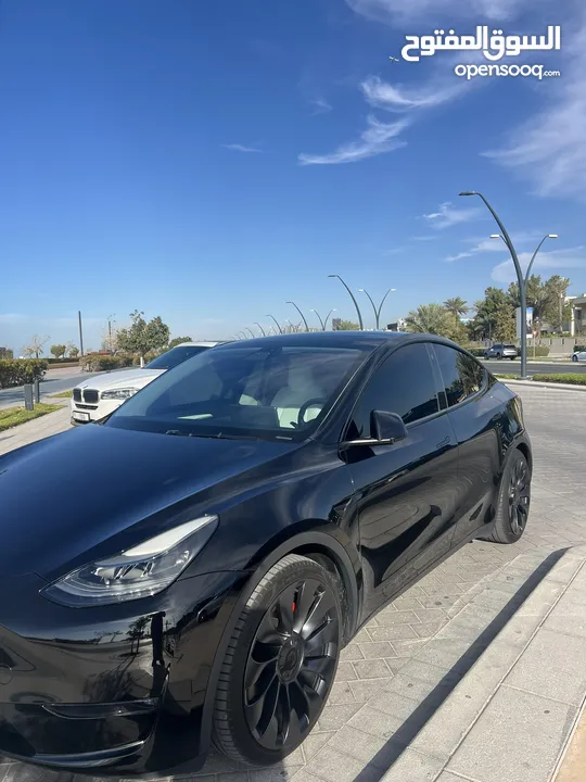 Tesla model Y performance