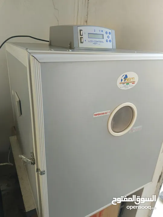 مطلوب مطلوب  مطلوب  فقاسات فيم  فقط لاغير