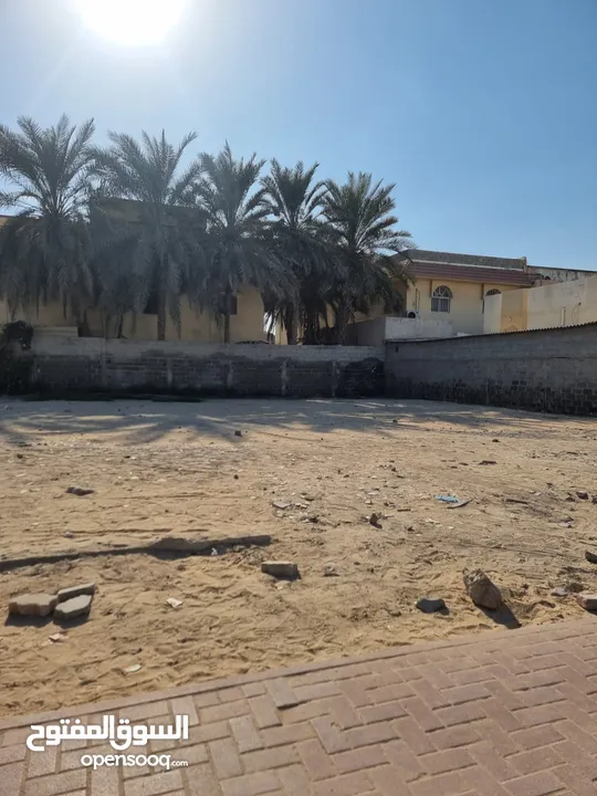 ارض للبيع في النعيمية land for sale in naimyia