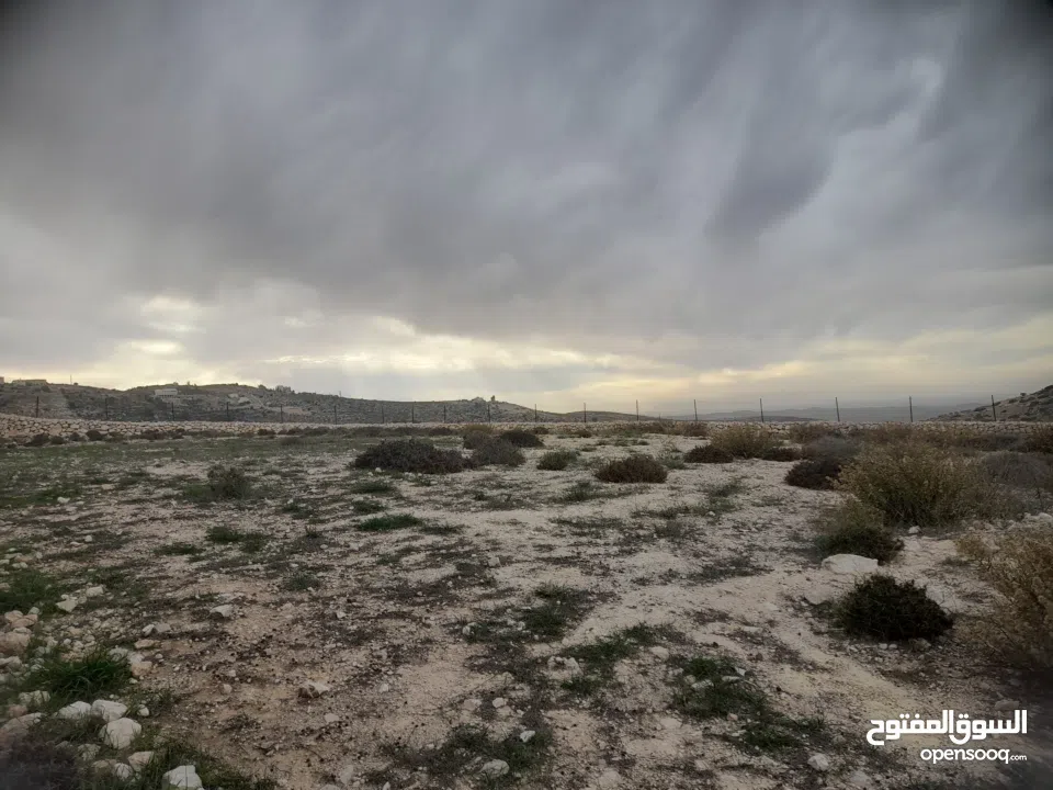 1800 م ارض طابو A الخليل دورا خرسه