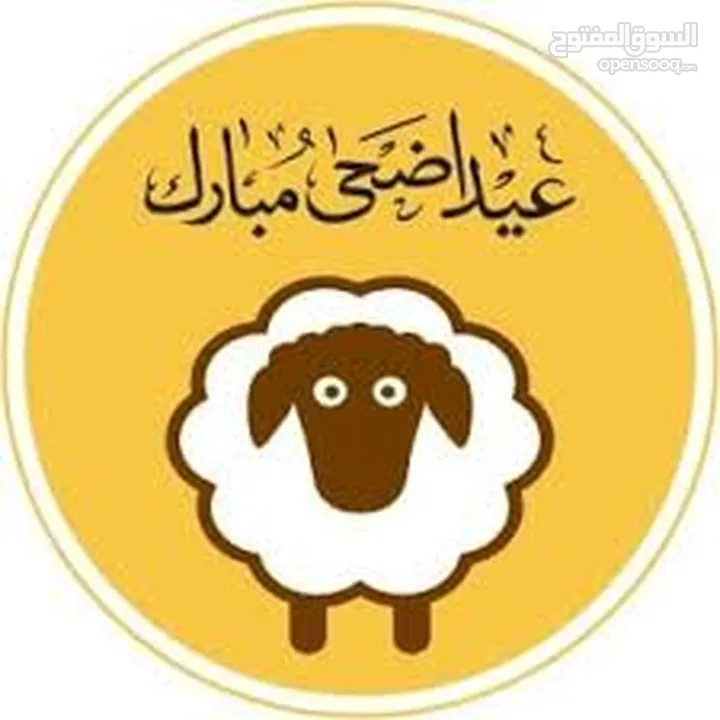 لحام جزار اضاحي متنقل ... ذبح ... سلخ ... تقطيع