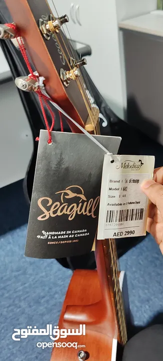 Seagull Entourage Autumn Burst Acoustic guitar – For Sale/Trade to any electronic items