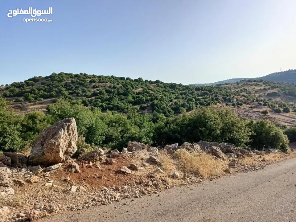 أرض متعددة الاستخدامات في أجمل مناطق عجلون
