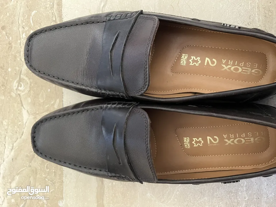 حذاء Geox رجالي جديد مقاس 46