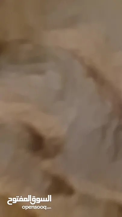 ستائر زيبرا تركية