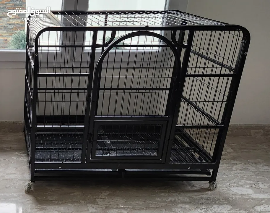 Dog crate available