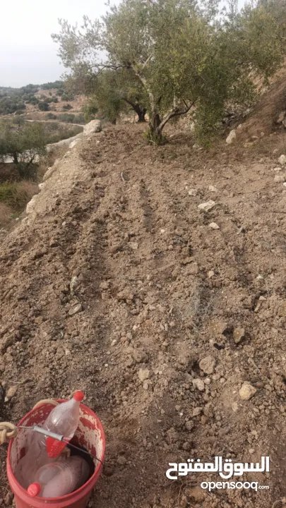ارض على طريق بلعا دير الغصون قبل مفرق اكتابا