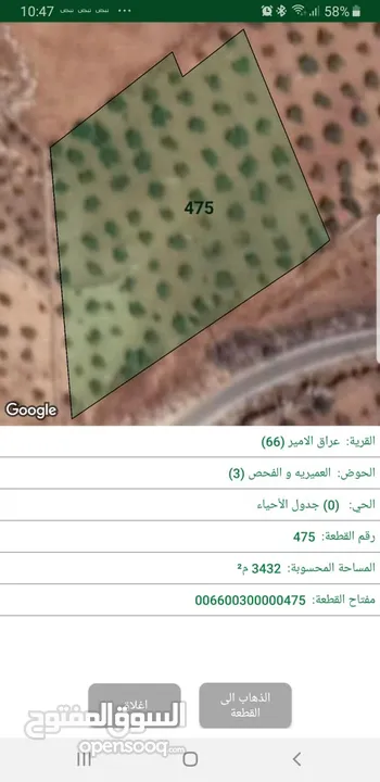 ارض زراعية عراق الامير - الفحص والعميرية - سعر مغري جدا