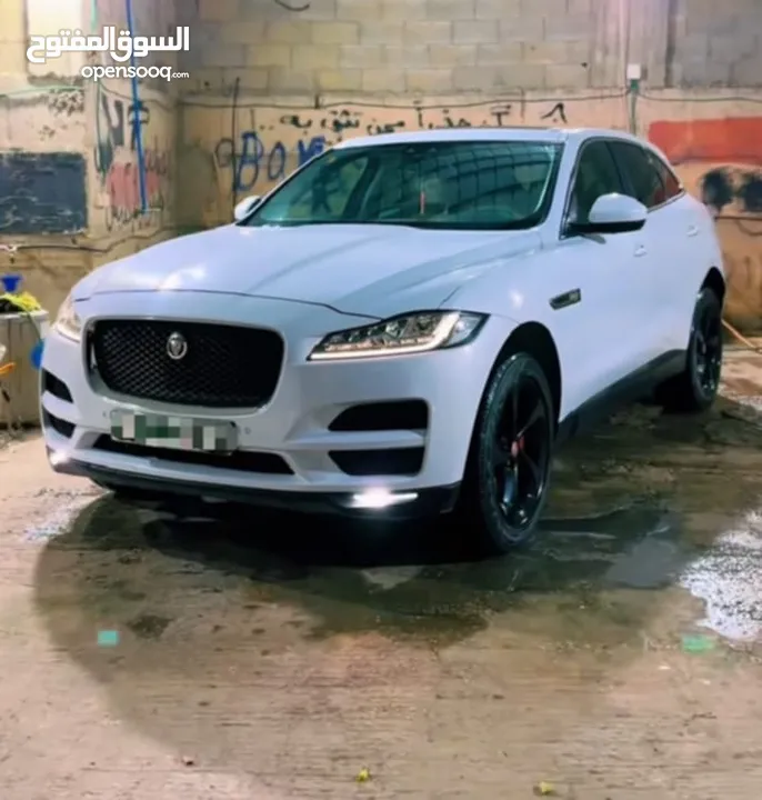 جاكور  2017