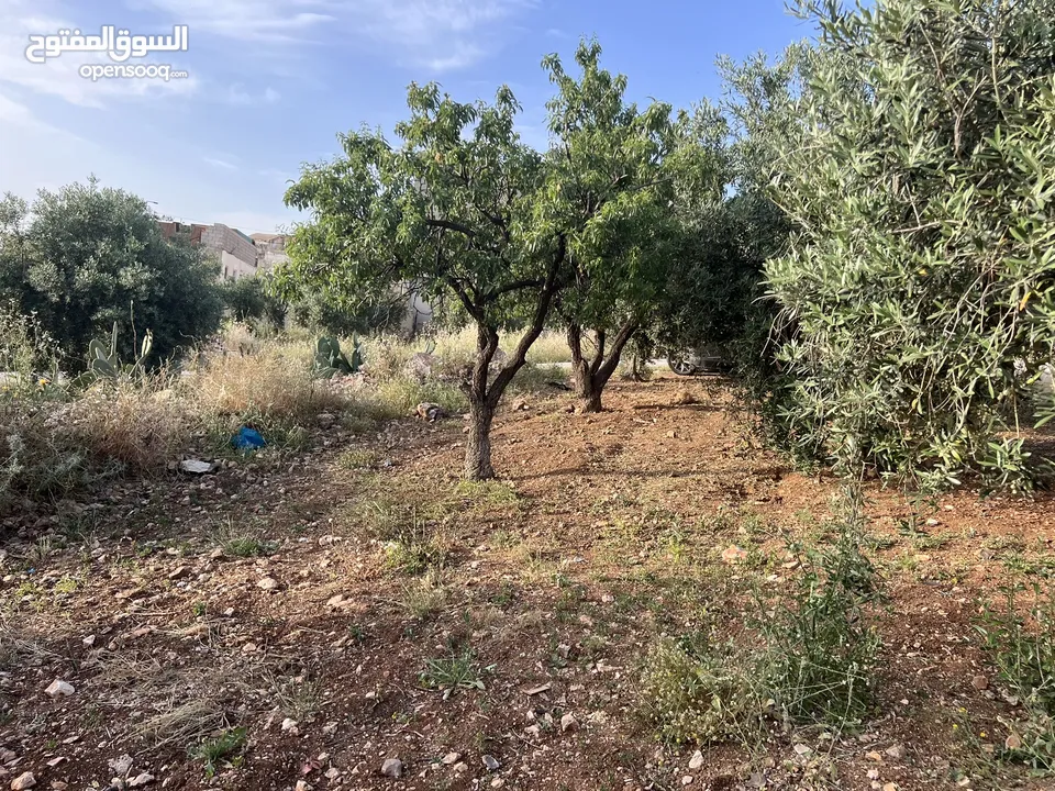 ارض مساحتها 505 م للبيع في حسبان حي البرج قرب كلية القياده والاركان