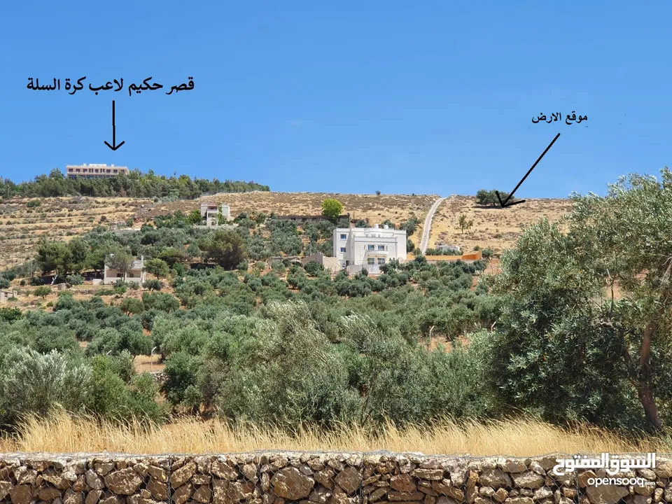 قطعة ارض سكن ريفي موقع مميز ومشرفة اطراف شفا بدران ام رمانة