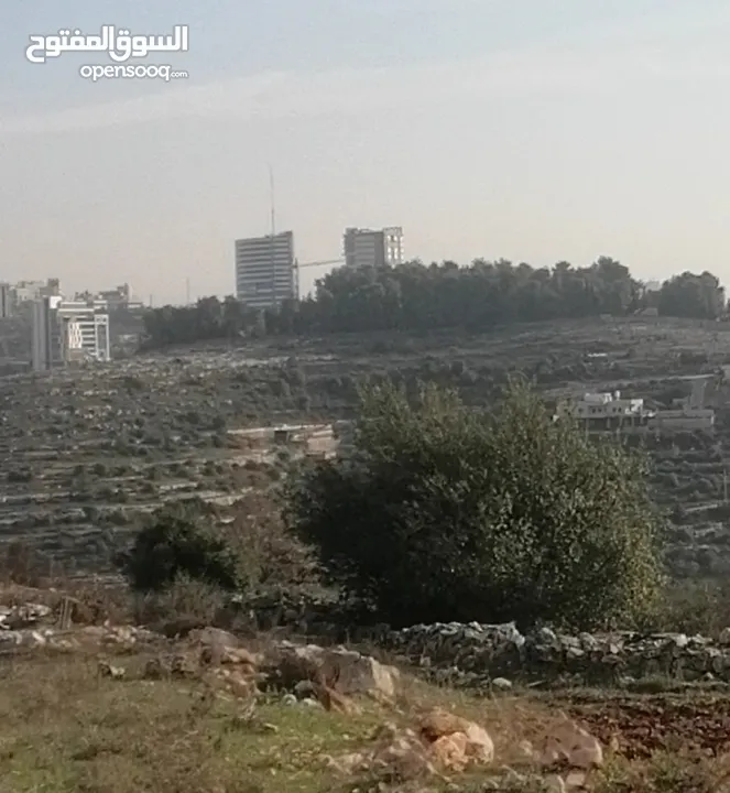 ارض مميزه للبيع