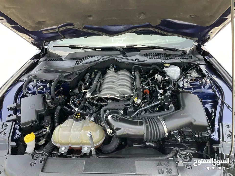 فورد موستانج GT V8 5.0 2019  جير عادي