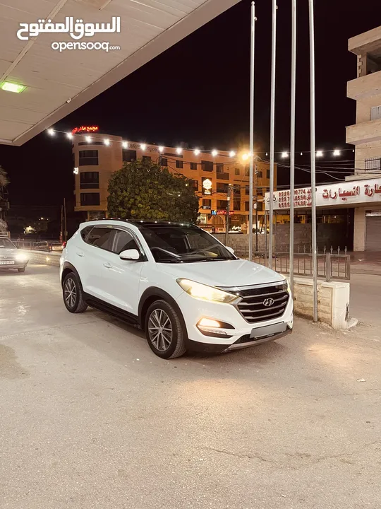 توسان فل الفل مع بانوراما