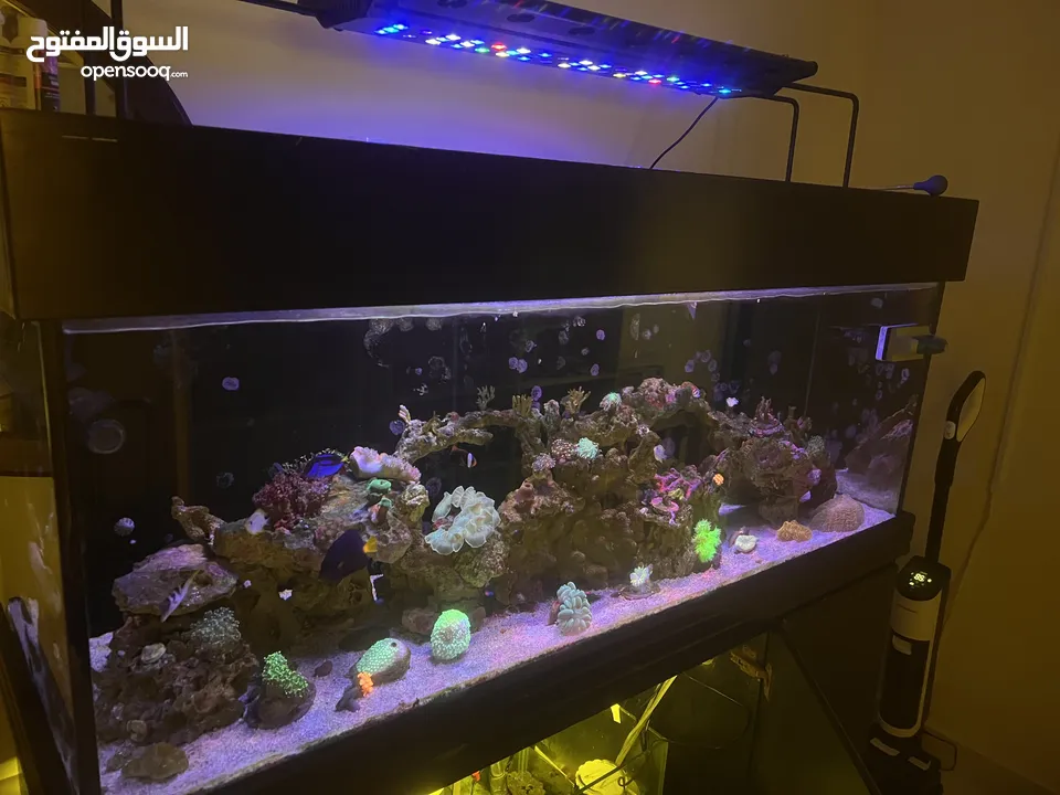 Marine aquarium with complete accessories
