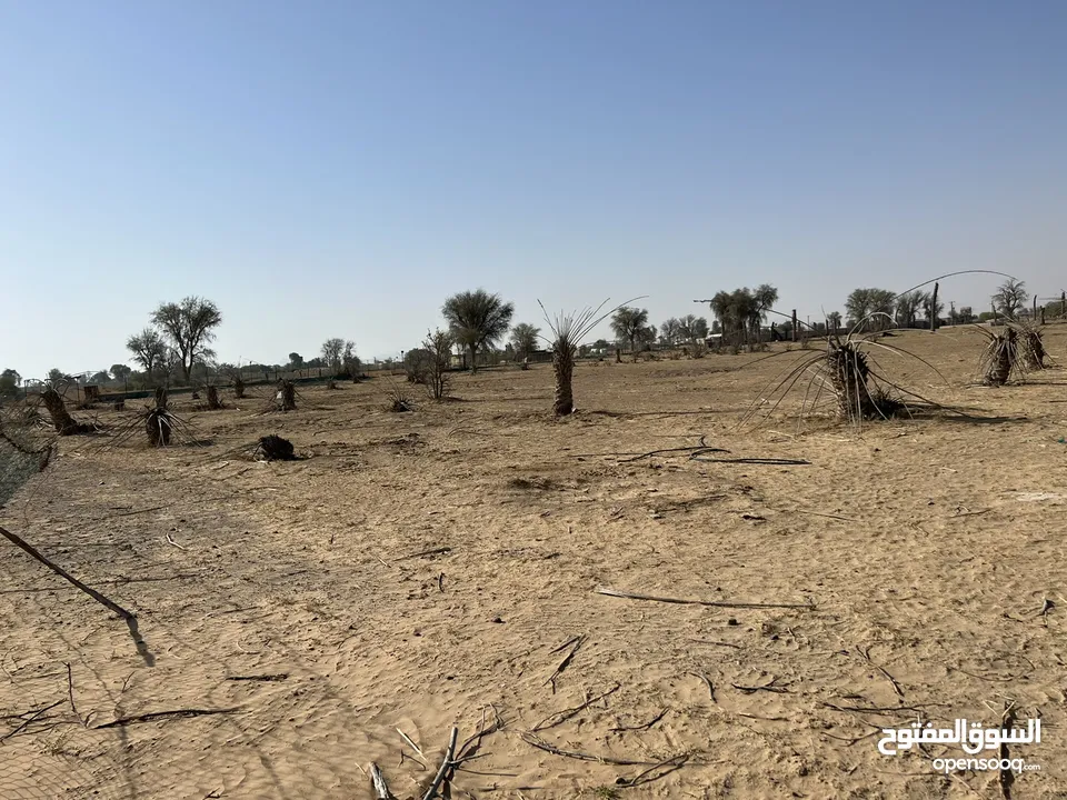 ارض زراعية للبيع خاليه بمنطقة المدام /الحصون بالشارقة مساحه 256،000 الف قدم قريب من الشارع العام