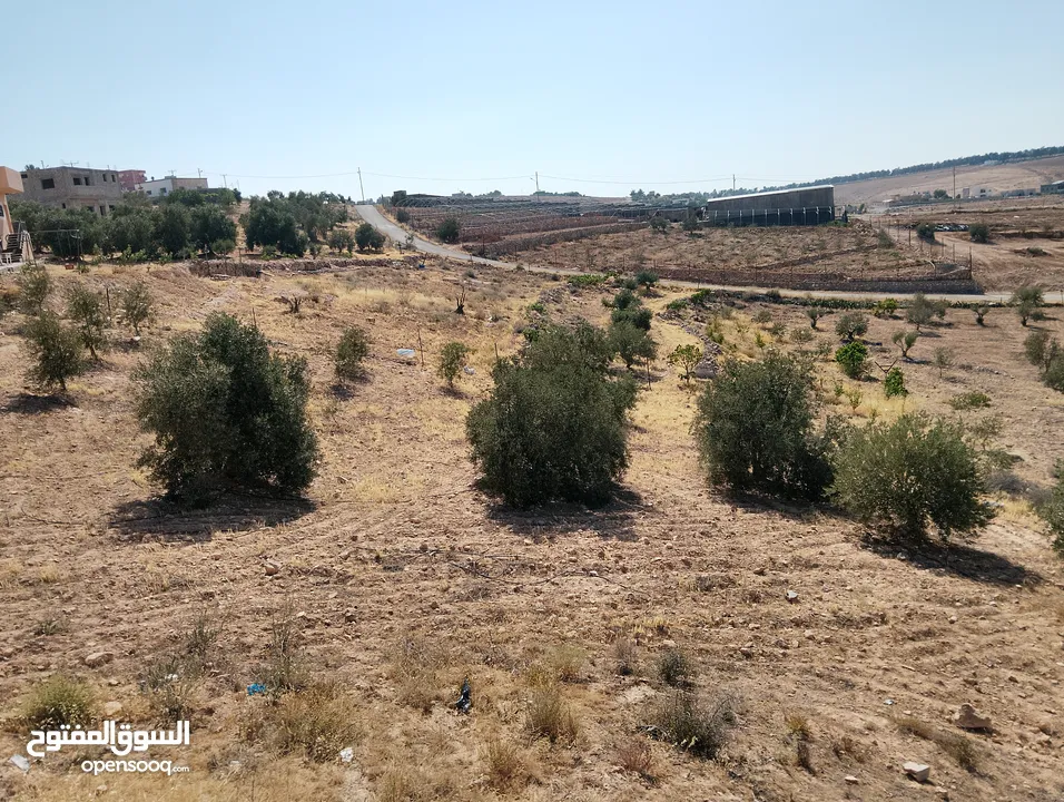 لقطة ؛ أرض زراعية مع غرفة على حدود الطفيلة والكرك ، تصلح للاستثمار كمزرعة سياحية أو منتجع سياحي