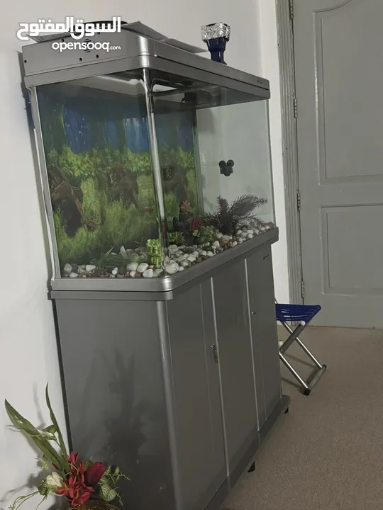 Fish aquarium large