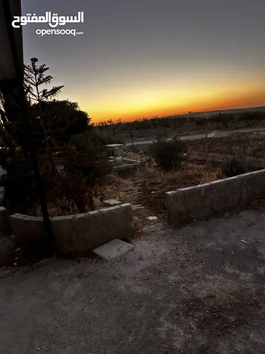مزرعه للبيع مساحتها دلم